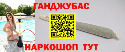 амф Донской
