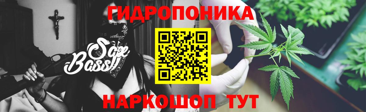 Чусовой  Бошки Шишки MAZAR  Вход с VPN  МАРИХУАНА семена  Канабис Ganja 